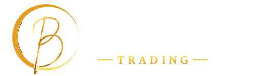 Buckzen Bokamoso (Pty) Ltd
